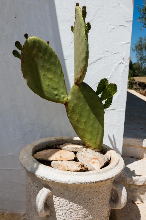 הוילה אלברובלו Il Trullo Della Rondinina מראה חיצוני תמונה