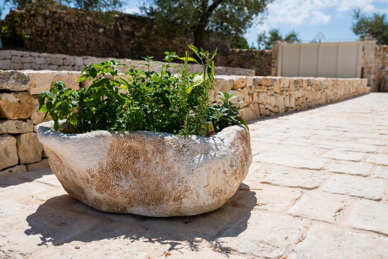 הוילה אלברובלו Il Trullo Della Rondinina מראה חיצוני תמונה