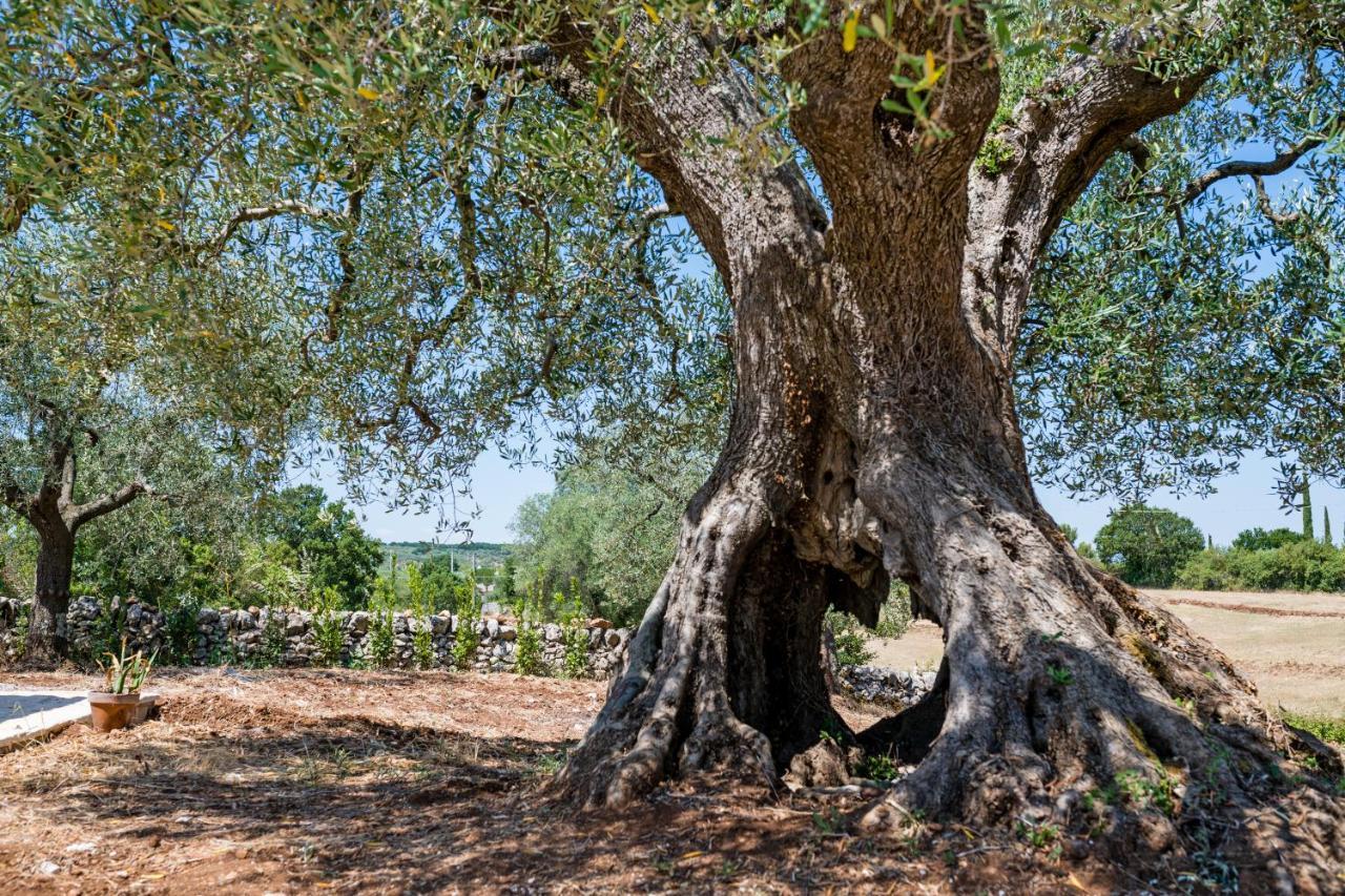 הוילה אלברובלו Il Trullo Della Rondinina מראה חיצוני תמונה