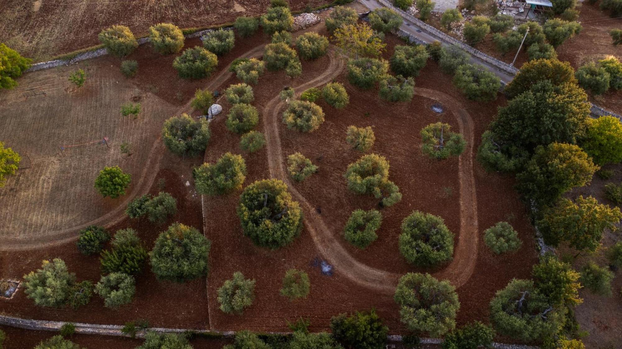 הוילה אלברובלו Il Trullo Della Rondinina מראה חיצוני תמונה