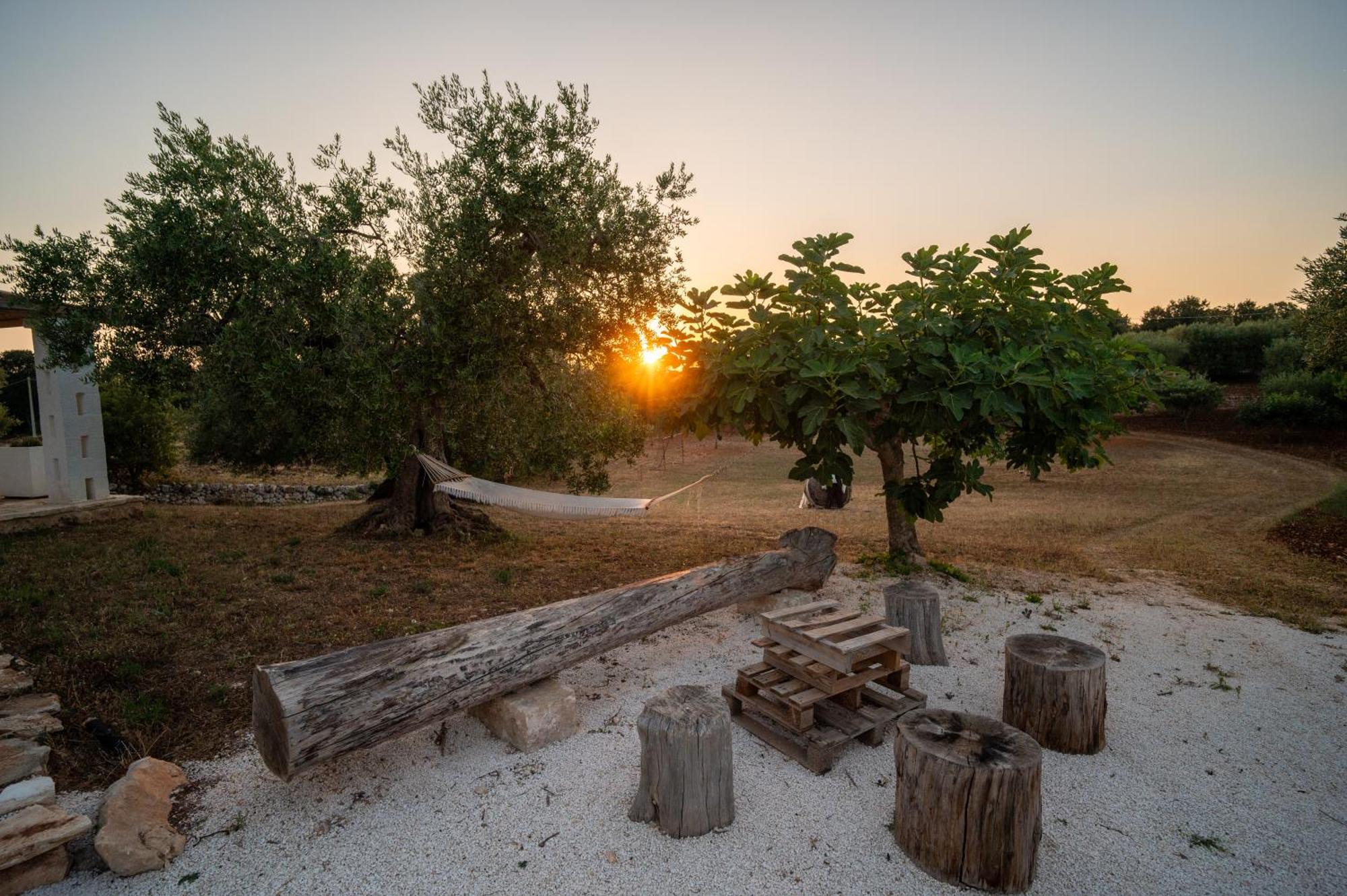 הוילה אלברובלו Il Trullo Della Rondinina מראה חיצוני תמונה
