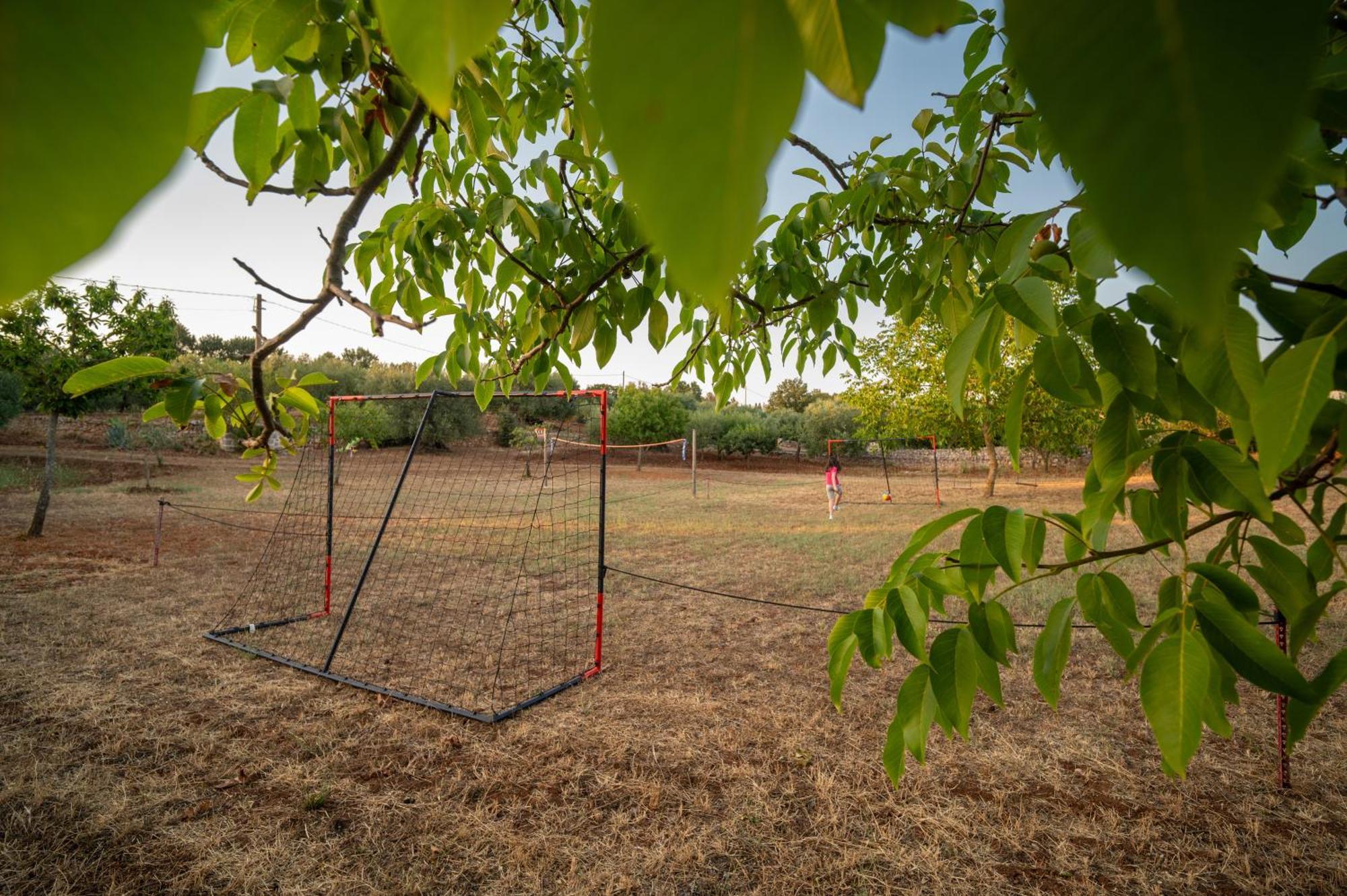 הוילה אלברובלו Il Trullo Della Rondinina מראה חיצוני תמונה