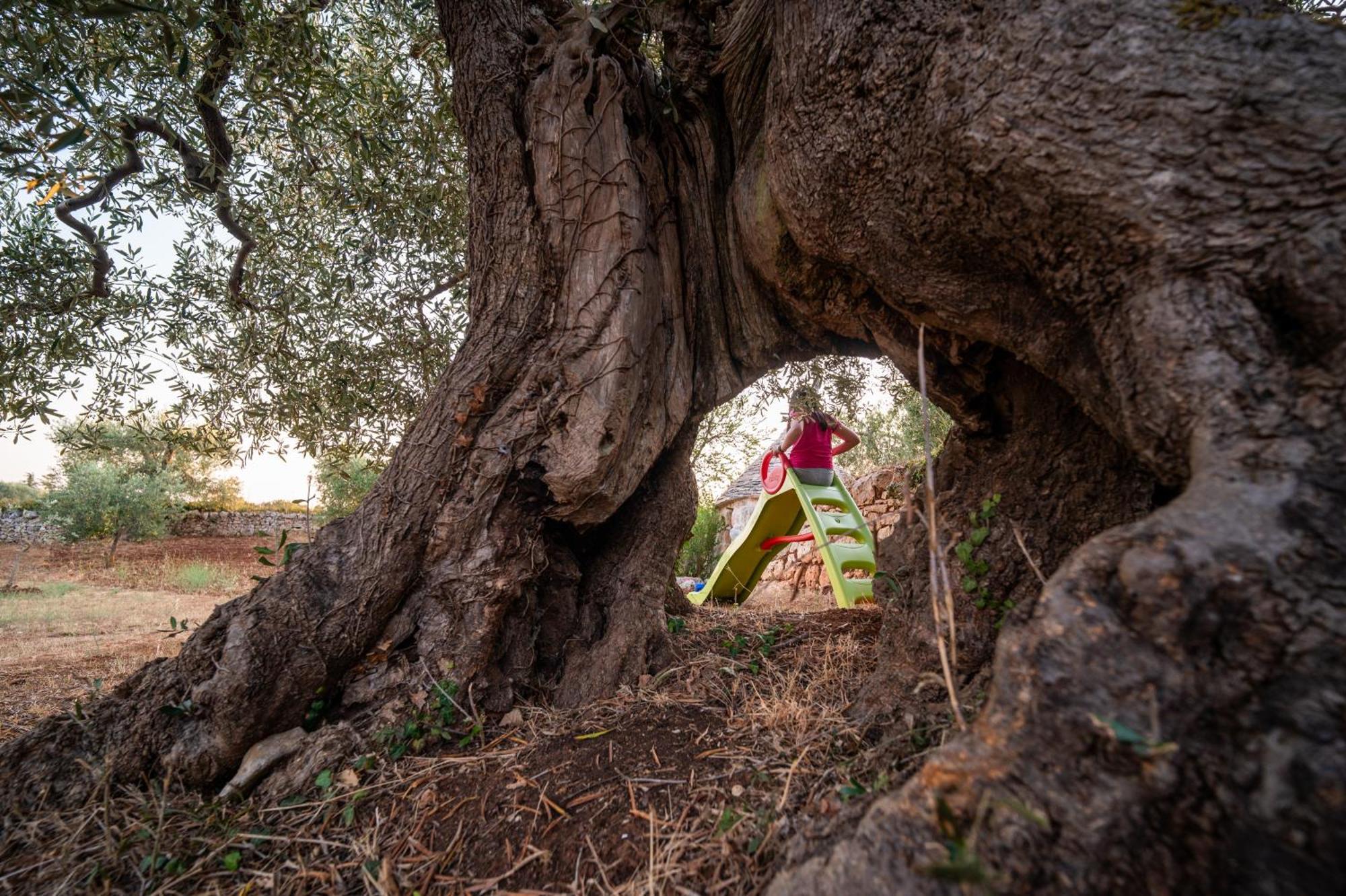 הוילה אלברובלו Il Trullo Della Rondinina מראה חיצוני תמונה
