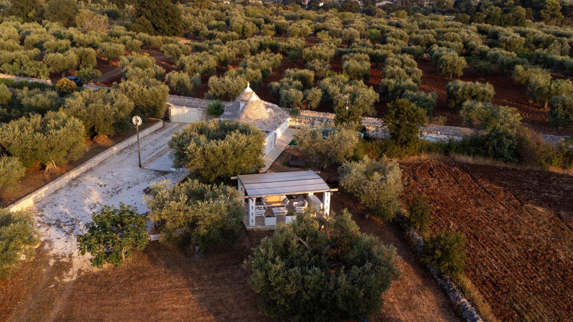 הוילה אלברובלו Il Trullo Della Rondinina מראה חיצוני תמונה